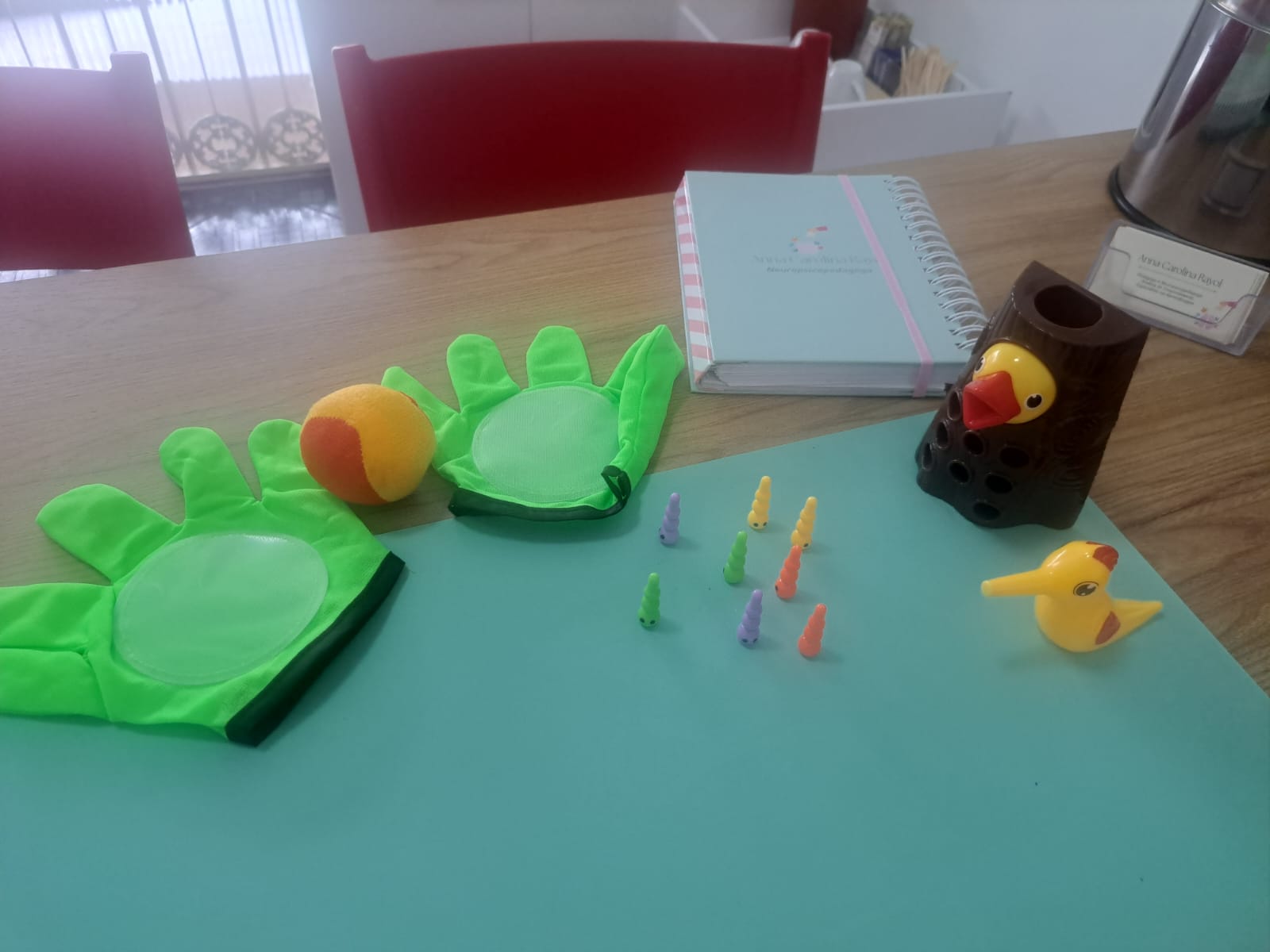 ANNA CAROLINA RAYOL PSICOPEDAGOGA CAMPO GRANDE RIO DE JANEIRO (2).jpeg